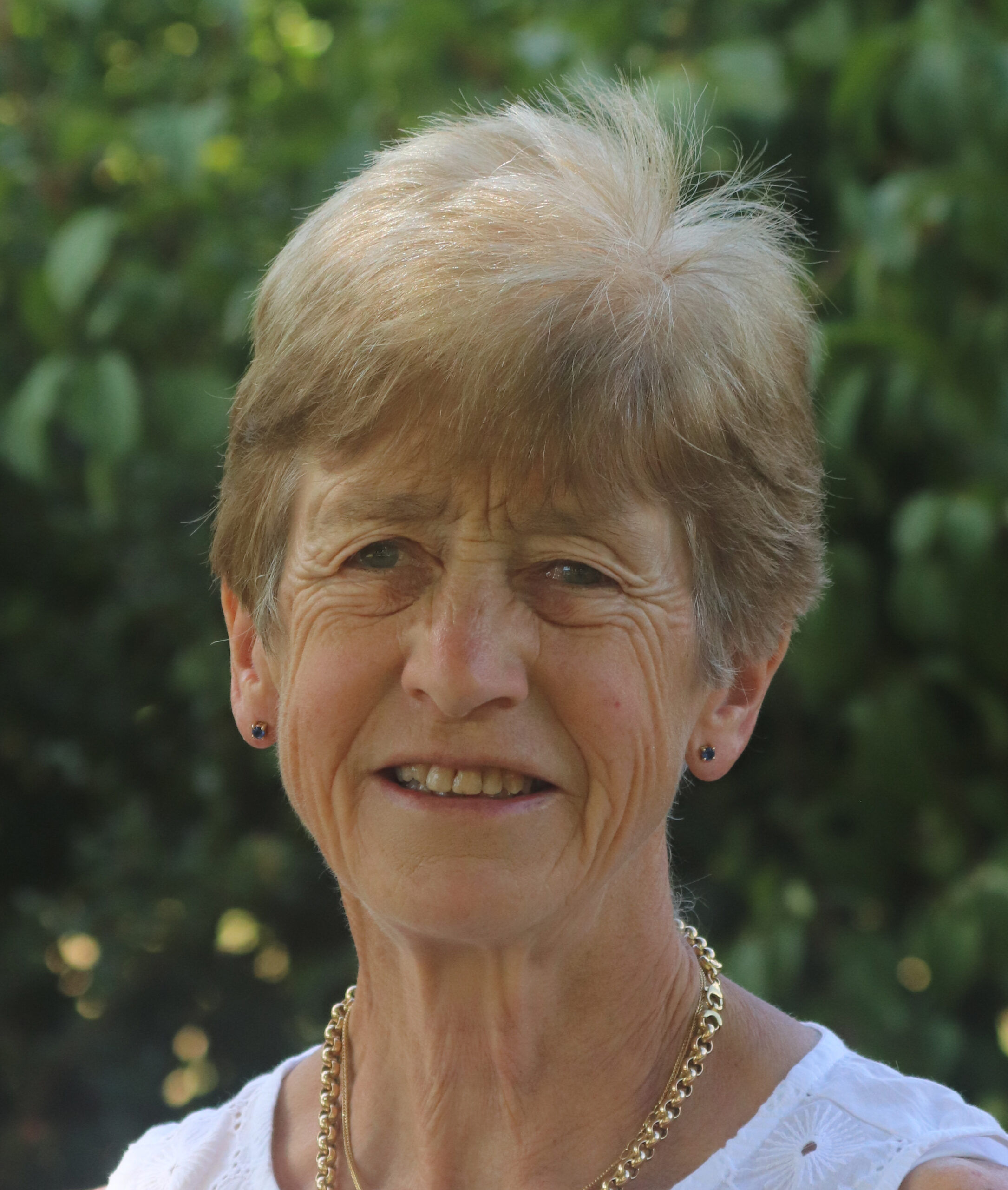 Dr. Sue Dyson