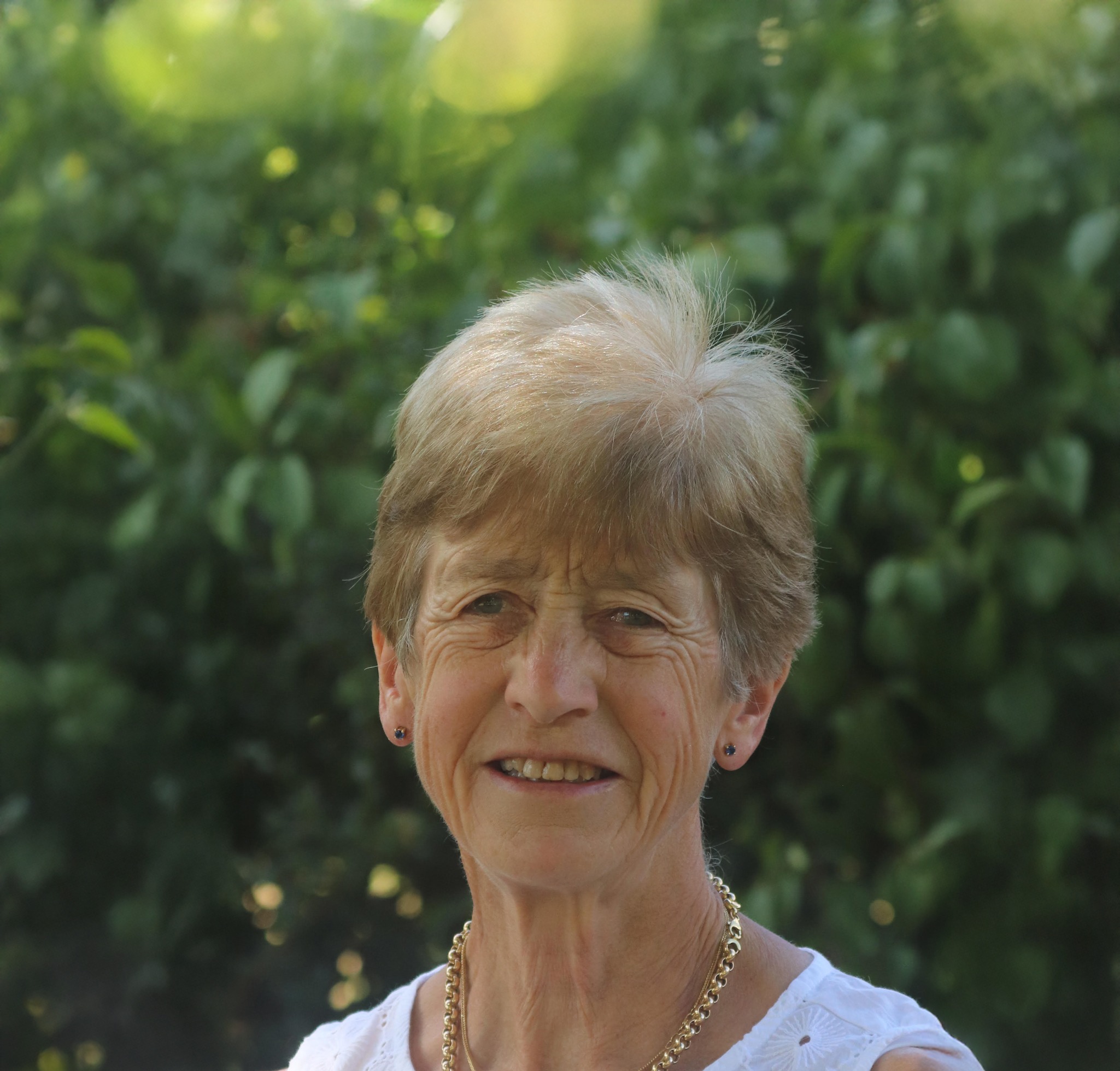 Dr. Sue Dyson